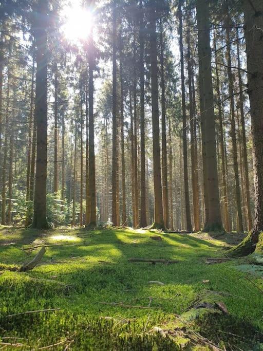 Gite N° 20, En Pleine Nature, Frontalier Signy-le-Petit Eksteriør bilde